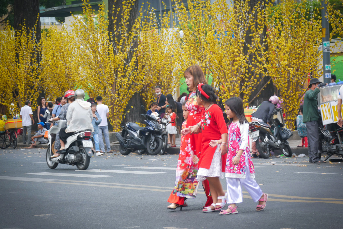 Hotgirl Sai Gon xung xinh ao dai den check-in 'duong mai vang'-Hinh-3