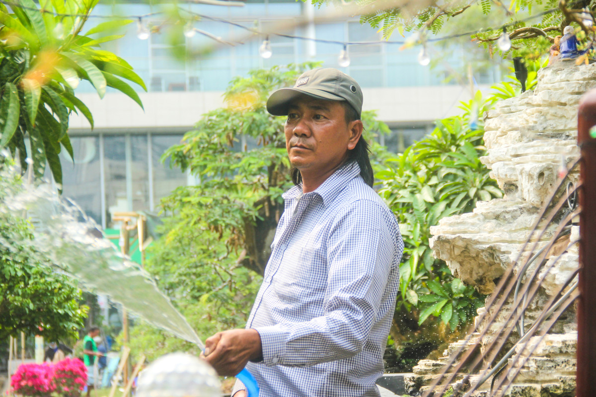 "Để vận chuyển từ Bến Tre lên TP.HCM bán trong dịp Tết Canh Tý này, tôi đã phải thuê một chiếc xe cẩu cùng vài người công nhân để cẩu cây này lên đây, mất nửa ngày mới tới nơi" - ông Tèo chi sẻ.