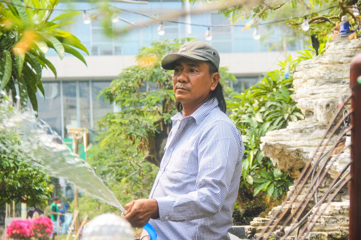 "Để vận chuyển từ Bến Tre lên TP.HCM bán trong dịp Tết Canh Tý này, tôi đã phải thuê một chiếc xe cẩu cùng vài người công nhân để cẩu cây này lên đây, mất nửa ngày mới tới nơi" - ông Tèo chi sẻ.