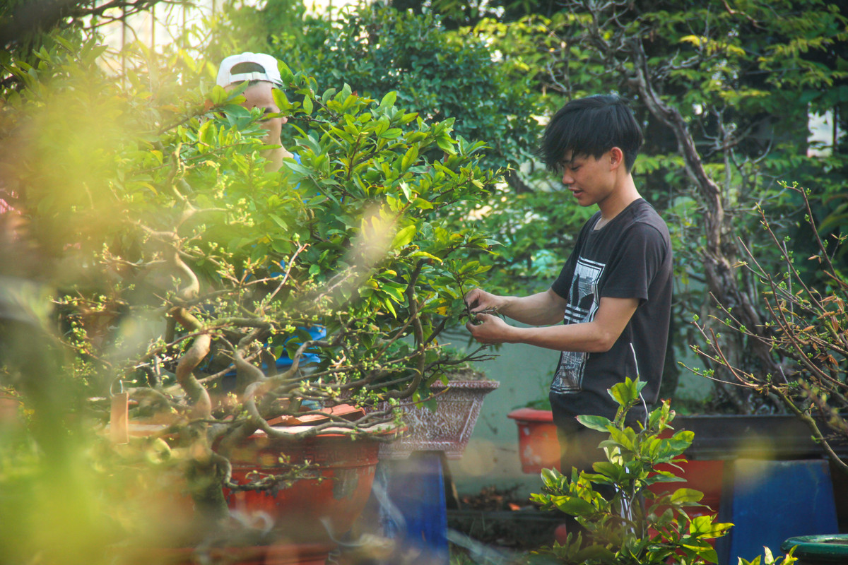 Ngat la mai dip can Tet o Sai Gon, moi ngay kiem 350.000-Hinh-2