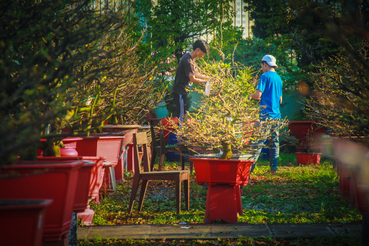 Ngat la mai dip can Tet o Sai Gon, moi ngay kiem 350.000