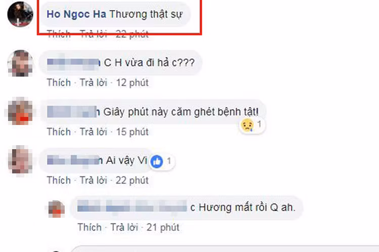 Hồ Ngọc Hà cũng đau xót trước sự ra đi của Như Hương.