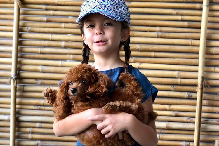 "Hôm nay là ngày Hành Tinh Xanh ở trường. Anh hai là người lính bảo vệ động vật hoang dã. Chị ba là người bảo vệ các loài chim và cá", Hồng Nhung chia sẻ.