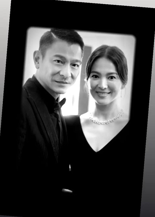 Nhiều người cho rằng sau khi ký hợp đồng với Vương Gia Vệ, Song Hye Kyo sẽ tăng được sự chú ý ở thị trường giải trí lớn Trung Quốc.