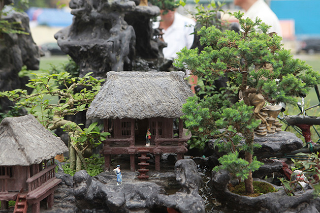 Trong tiểu cảnh có khoảng 15 loại cây bosai như sanh duối, tùng, hồng, ngọc, mai…