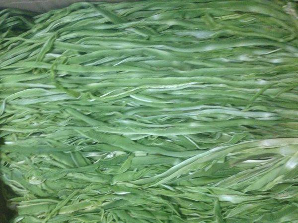 Tuy nhiên, bây giờ người miền nam lại không hào hứng với loại rau này. Vào thời điểm ngập lụt, rau cần biển mọc nhiều, người ta có khi lại hái cho lợn ăn. Lúc này chúng có giá rất rẻ chỉ khoảng 6000,7000 VNĐ/0.5kg, thậm chí cho không cũng chẳng ai thèm lấy.