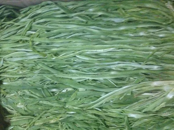 Tuy nhiên, bây giờ người miền nam lại không hào hứng với loại rau này. Vào thời điểm ngập lụt, rau cần biển mọc nhiều, người ta có khi lại hái cho lợn ăn. Lúc này chúng có giá rất rẻ chỉ khoảng 6000,7000 VNĐ/0.5kg, thậm chí cho không cũng chẳng ai thèm lấy.