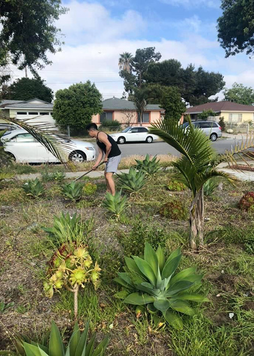 Trên trang cá nhân, Hoàng Anh vừa chia sẻ hình ảnh mới nhất của mình ở Mỹ. Nam diễn viên cho biết anh đang cải tạo khu vườn trước cửa nhà để trồng hoa, gắn xích đu... cho con gái chơi.