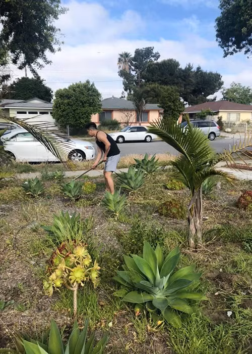 Trên trang cá nhân, Hoàng Anh vừa chia sẻ hình ảnh mới nhất của mình ở Mỹ. Nam diễn viên cho biết anh đang cải tạo khu vườn trước cửa nhà để trồng hoa, gắn xích đu... cho con gái chơi.