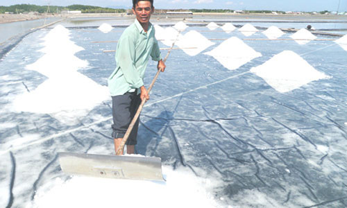 Tung thieu mac, doi an, nguoi dan rung Sac giau len nho dieu nay