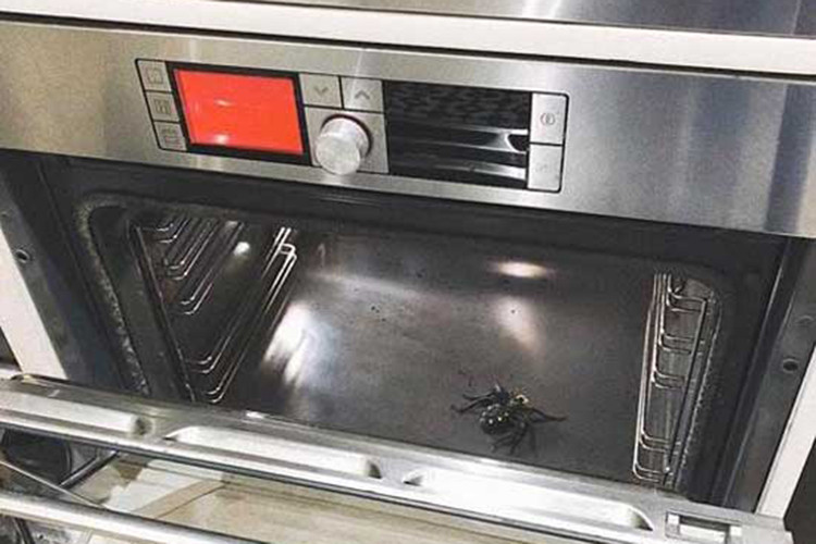 Con trai của Hà Tăng cũng có những trò đùa nghịch ngợm nhưng đáng yêu. Theo lời nữ diễn viên, cậu con trai từng bỏ chú nhện bằng nhựa vào lò vi sóng.