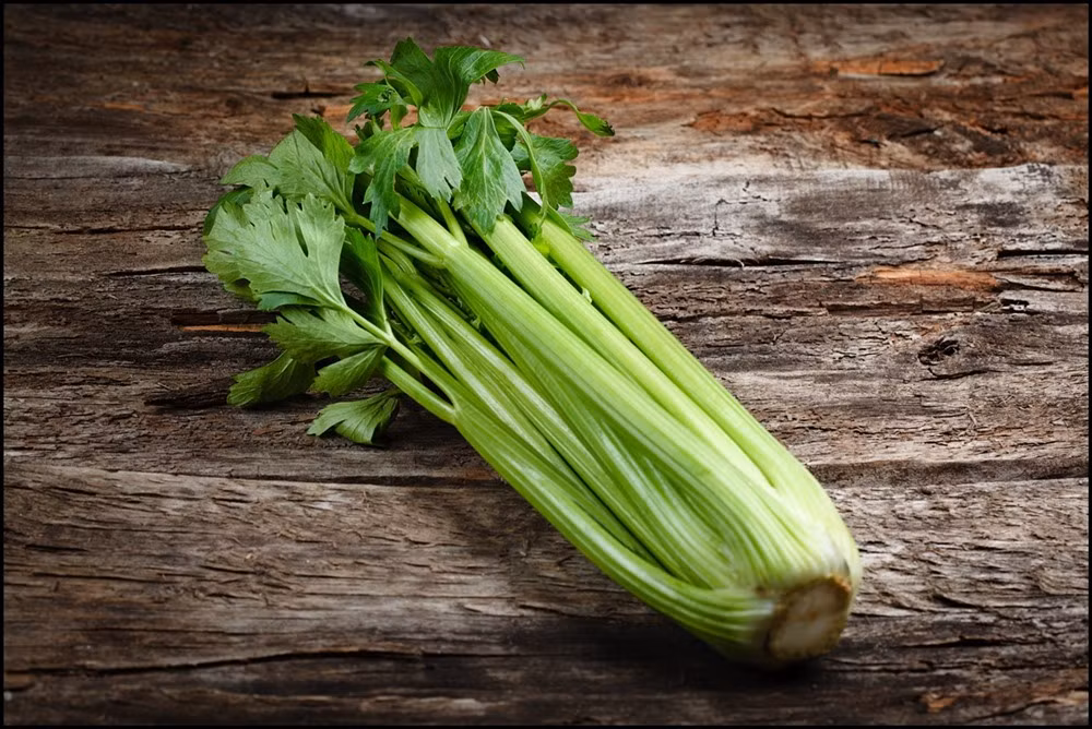 Cần tây Cần tây có tác dụng giúp giảm chất béo đồng thời bổ sung nước và chất xơ cao cho cơ thể. Từ đó, quá trình tiêu hóa thức ăn sẽ được thúc đẩy nhanh hơn. Đặc biệt, khi bạn ăn cần tây thì cơ thể cần nhiều calories hơn để hấp thụ nên cũng giúp đốt calories hiệu quả và hỗ trợ giảm cân tốt hơn.