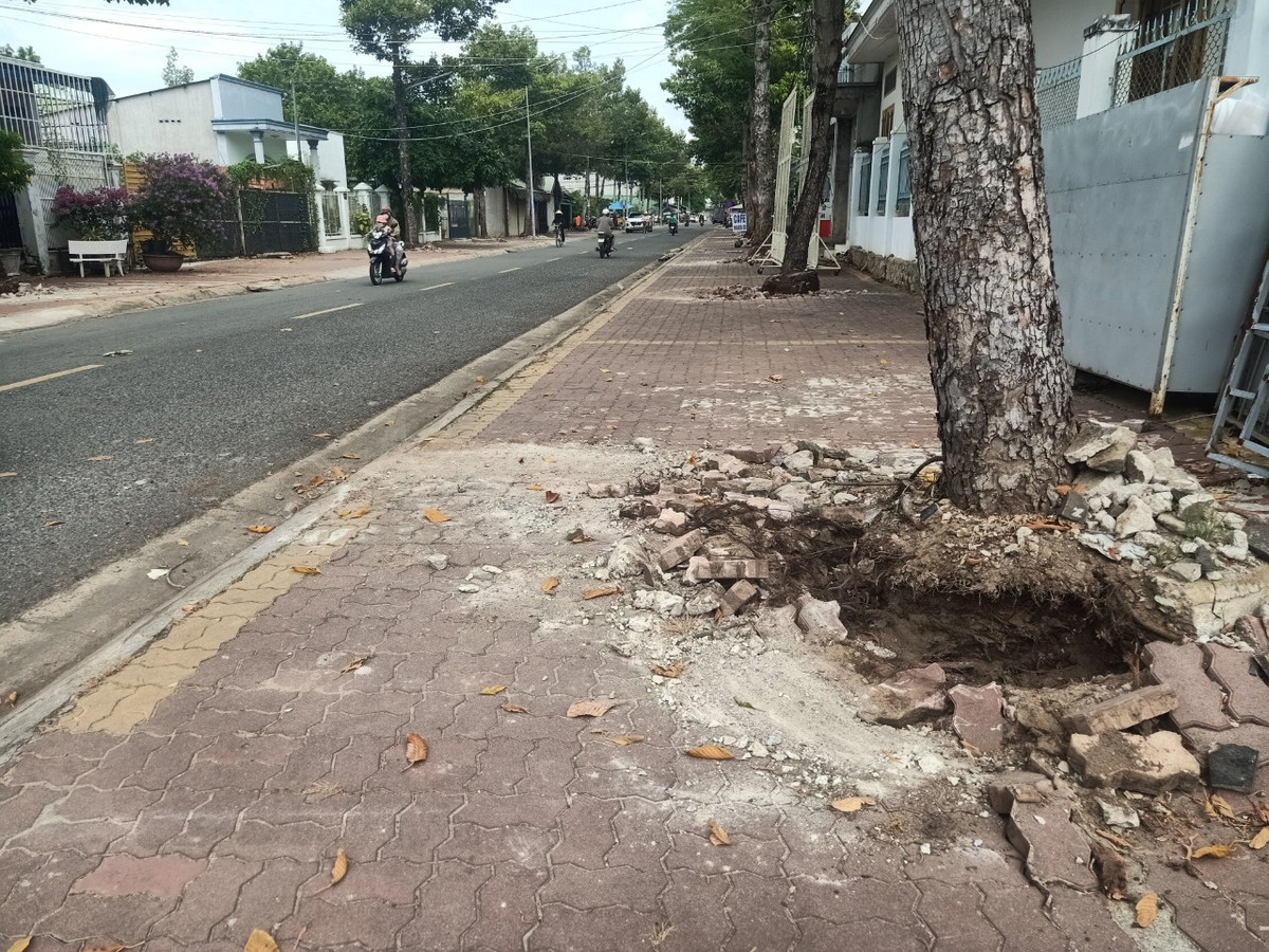 Can canh goi thau nang cap via he hon 12 ty tai TP Ba Ria-Hinh-3