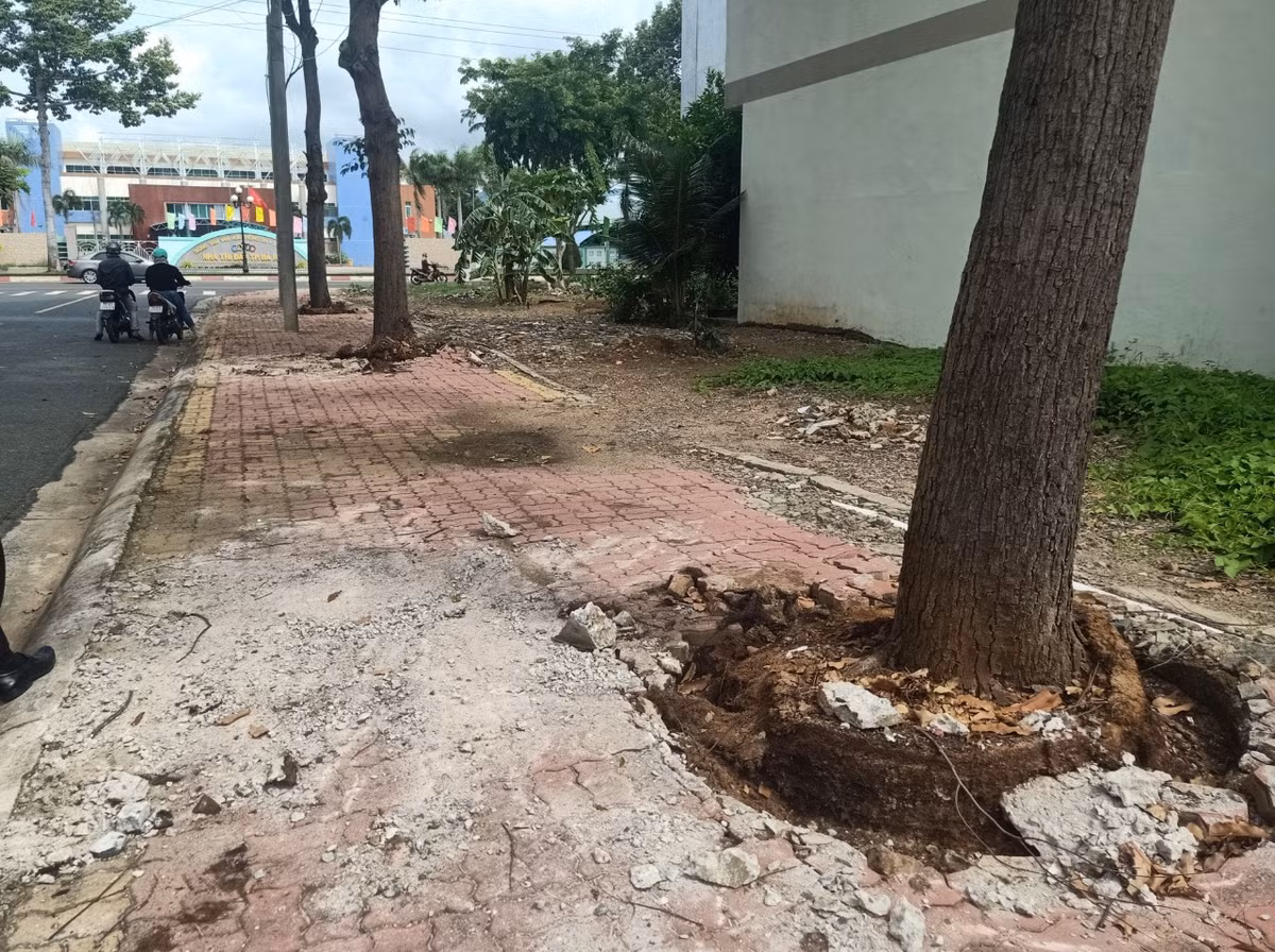 Can canh goi thau nang cap via he hon 12 ty tai TP Ba Ria-Hinh-5