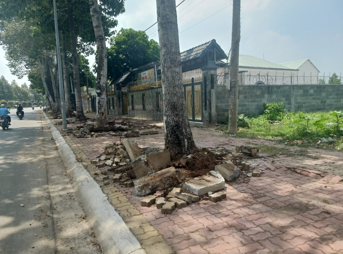 Can canh goi thau nang cap via he hon 12 ty tai TP Ba Ria-Hinh-2