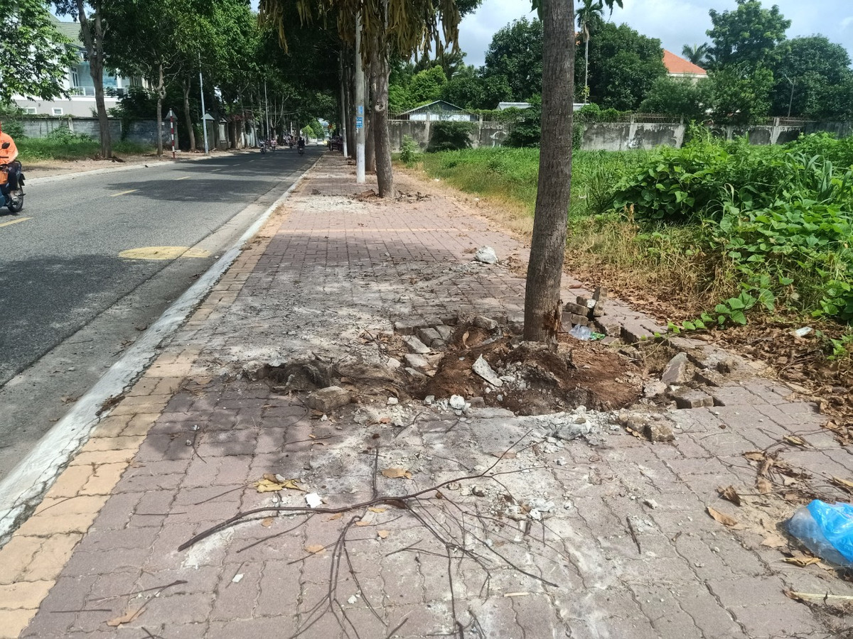 Can canh goi thau nang cap via he hon 12 ty tai TP Ba Ria-Hinh-4