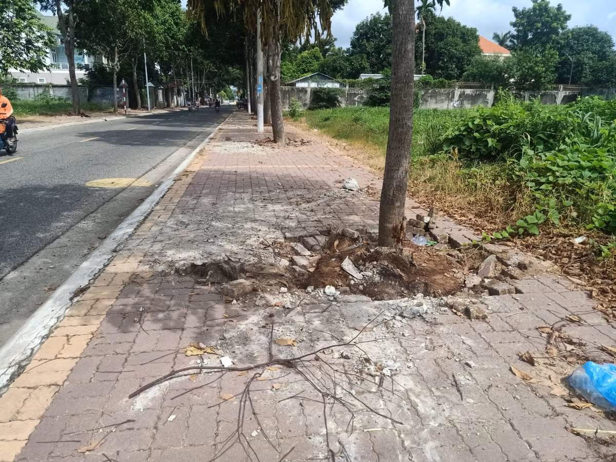 Can canh goi thau nang cap via he hon 12 ty tai TP Ba Ria-Hinh-4