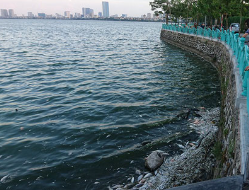 Nguyên nhân được lực lượng chức năng làm rõ, trước đó, Nguyễn Thạo Phương (trú quận Bắc Từ Liêm, Hà Nội) mâu thuẫn với Trịnh Ngọc Quang (tức Quang "Balo") liên quan đến tranh chấp địa bàn làm ăn tại khu vực bờ kè hồ Tây. Sau đó, Phương nhờ nhóm của Thao đi giải quyết. Trong khi Thao "Điên" bỏ trốn, Cơ quan Cảnh sát điều tra Công an quận Cầu Giấy đã khởi tố bị can về tội "Gây rối trật tự công cộng". Vụ án sau đó được chuyển tới Công an Hà Nội điều tra theo thẩm quyền. (Ảnh minh họa, nguồn internet)