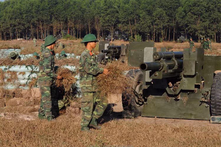 Ngụy trang trận địa pháo 105 của Lữ đoàn 75 trong diễn tập