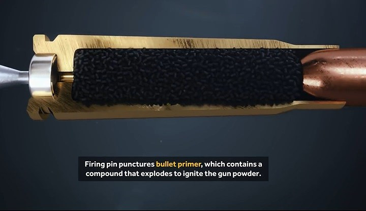 Cấu trúc viên đạn gồm vỏ đạn, hạt lửa, thuốc phóng (màu đen) và đầu đạn (màu đồng).