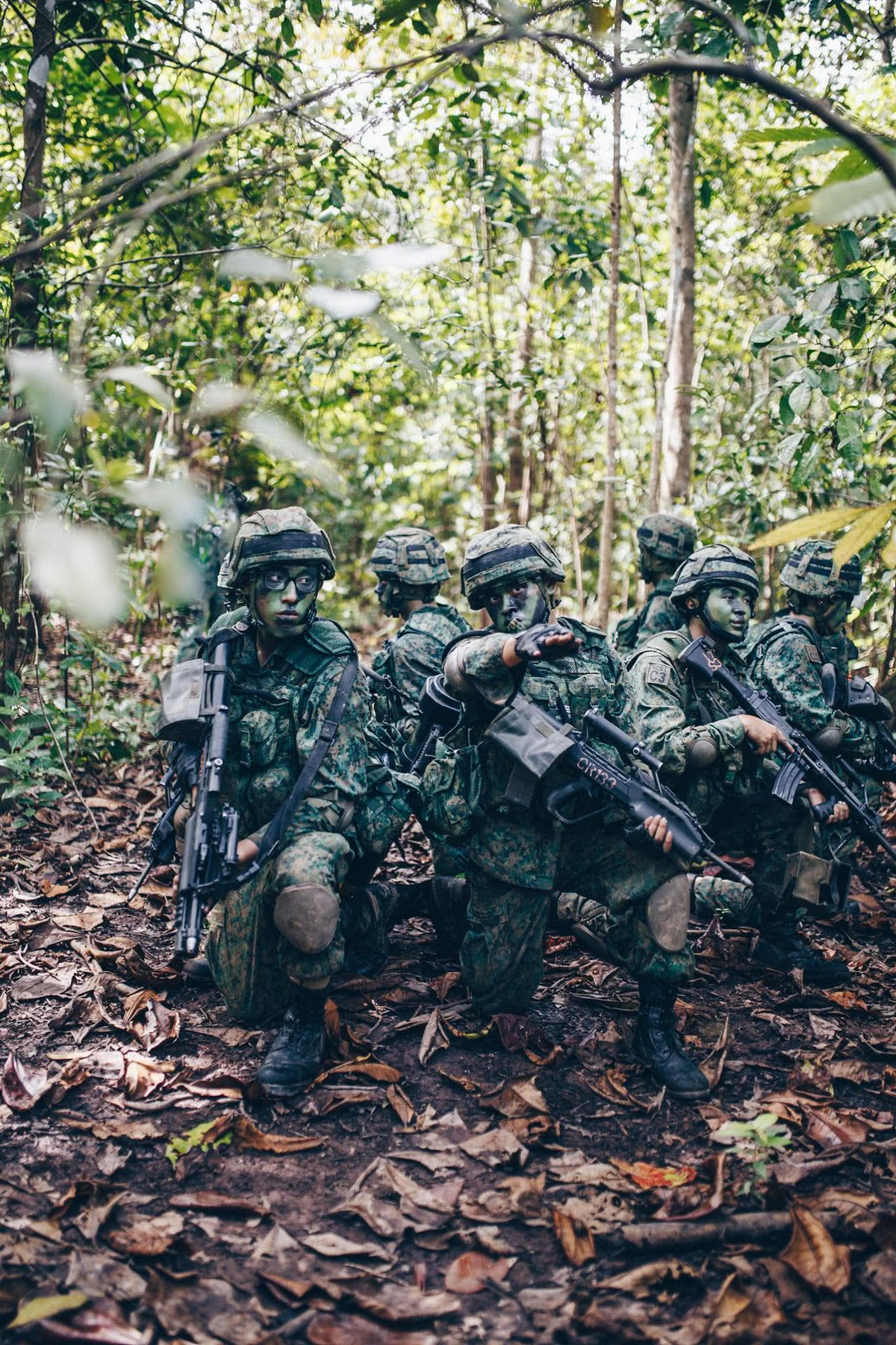 Singapore có vị trí địa lý thuộc vùng nhiệt đới biển với thảm thực vật phong phú. Do đó, việc huấn luyện tác chiến trong điều kiện rừng núi luôn được quan tâm hàng đầu.