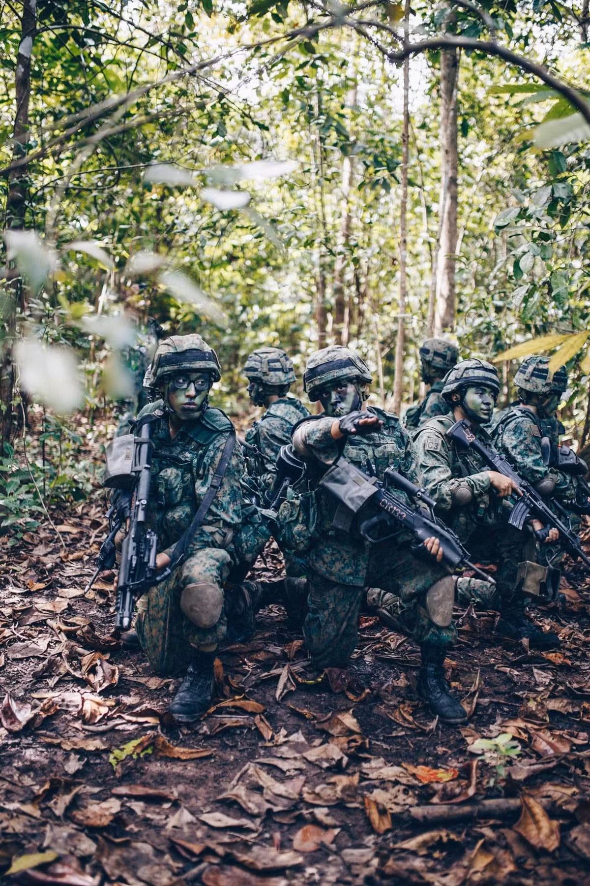 Singapore có vị trí địa lý thuộc vùng nhiệt đới biển với thảm thực vật phong phú. Do đó, việc huấn luyện tác chiến trong điều kiện rừng núi luôn được quan tâm hàng đầu.