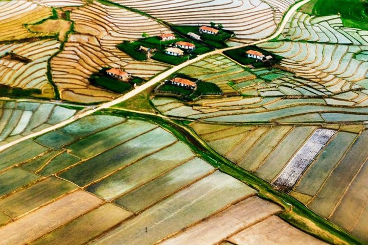 Hình ảnh các thửa ruộng trông rất đẹp mắt ở vùng nông thôn Triều Tiên.