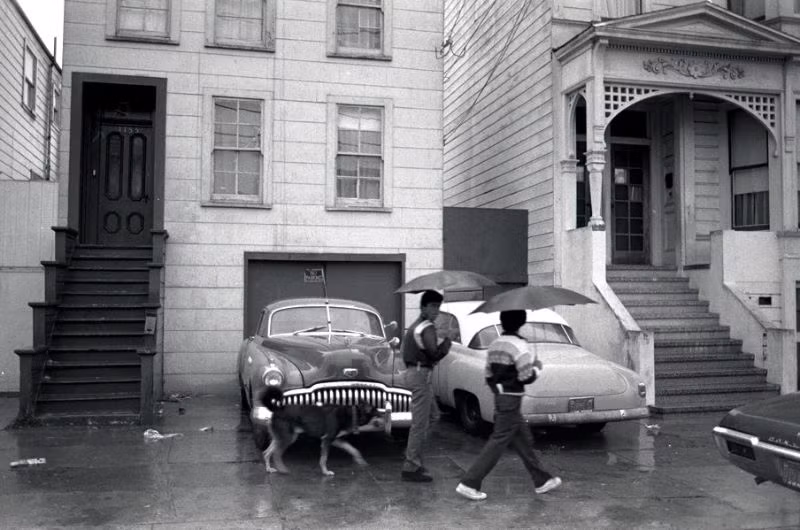 Hai cậu bé và chú chó bước đi dưới mưa trên con đường ở quận Mission, 1977. Ảnh: Dave Glass.