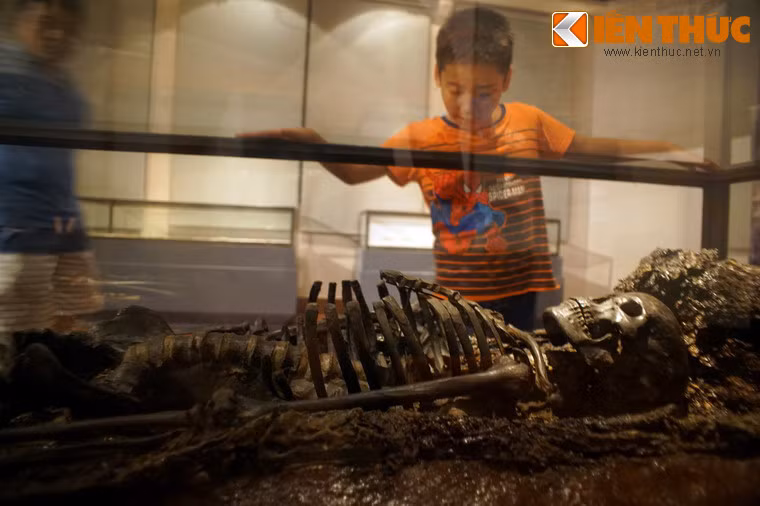 Ngôi mộ được trưng bày tại bảo tàng là ngôi mộ được bảo tồn nguyên vẹn nhất trong nhóm mộ. Mộ có quan tài là thân cây gỗ được bổ dọc, khoét rỗng, nửa dày làm thân, nửa mỏng làm nắp quan tài.