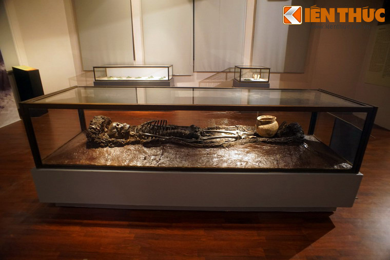 Ngôi mộ cổ này được phát hiện và khai quật vào tháng 9/1974 tại cánh đồng thôn Nội, xã Châu Can, huyện Phú Xuyên, tỉnh Hà Tây Cũ, nay là thành phố Hà Nội.