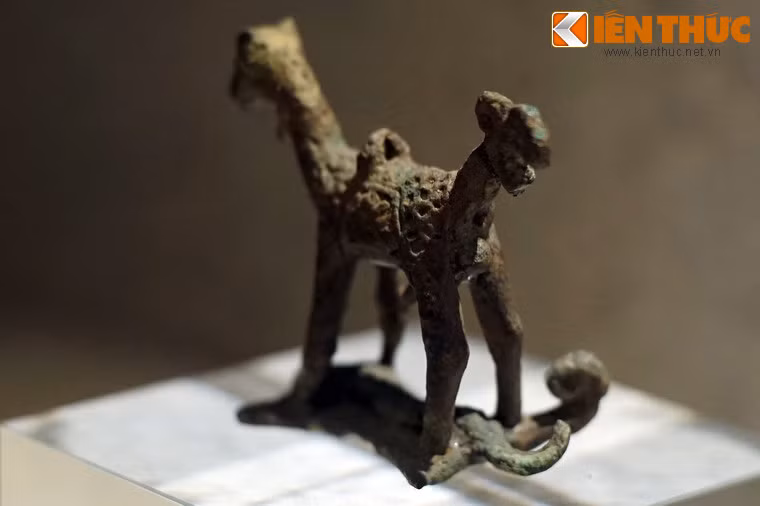 Thân con vật trang trí hoa văn các đường gấp khúc hình thang, các dấu lõm xung quanh có tia ngắn giống hình mặt trời.