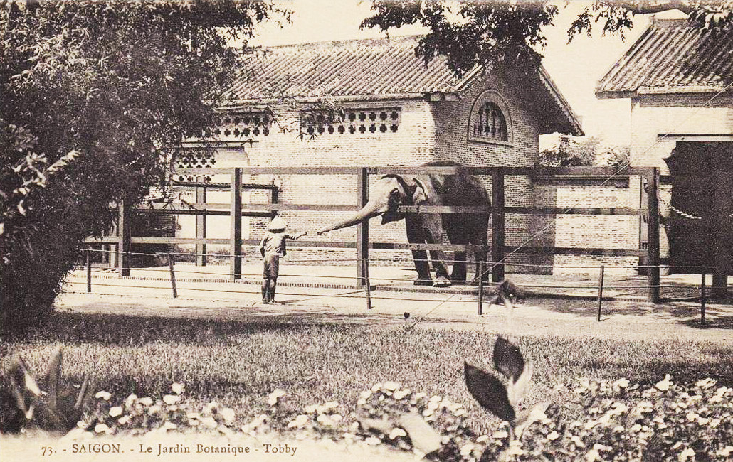 Vì lý do an toàn, du khách ở Thảo Cầm Viên ngày nay không còn được tiếp xúc với voi như ngày trước nữa. Ảnh tư liệu.