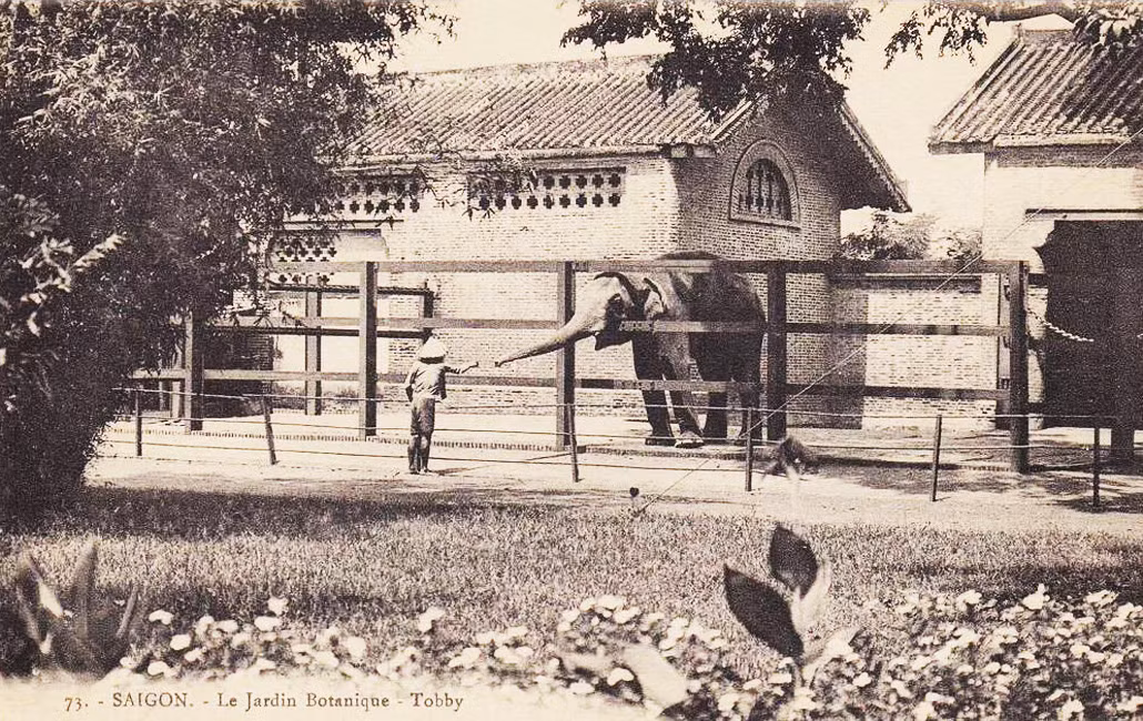 Vì lý do an toàn, du khách ở Thảo Cầm Viên ngày nay không còn được tiếp xúc với voi như ngày trước nữa. Ảnh tư liệu.