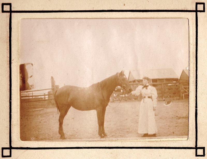 Người phụ nữ bên chú ngựa tại một khu điền trang. Ảnh: Leigh McKinnon Flickr.