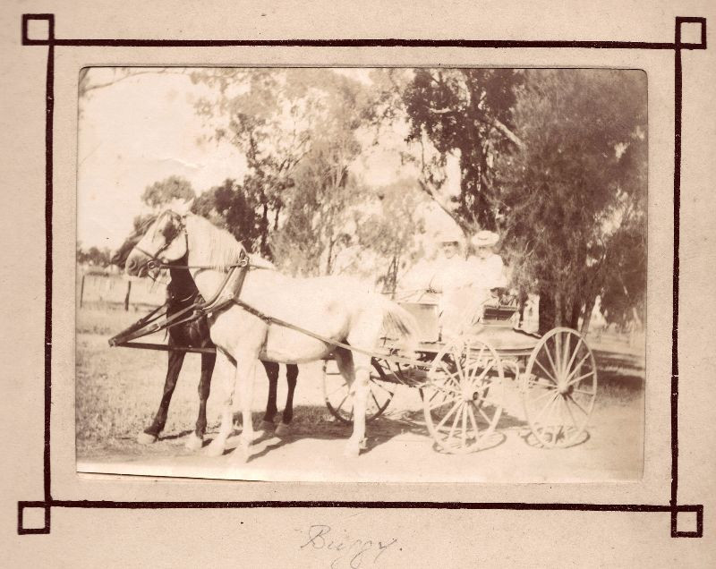 Hai phụ nữ Australia trên xe ngựa kéo. Ảnh: Leigh McKinnon Flickr.