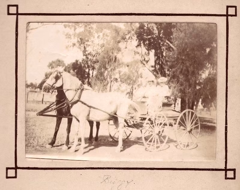 Hai phụ nữ Australia trên xe ngựa kéo. Ảnh: Leigh McKinnon Flickr.