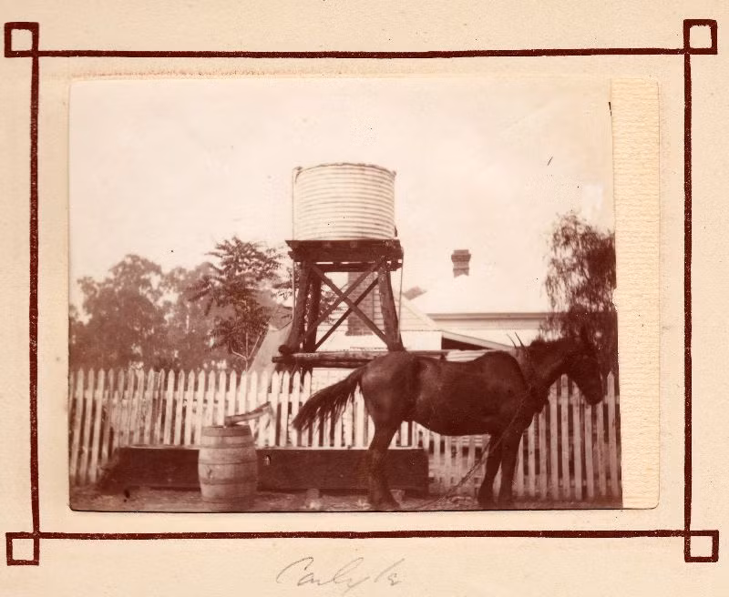 Khu điền trang của thuộc sở hữu của gia đình Whitty ở Mulwala, tiểu bang New South Wales của Australia cuối thế kỷ 19. Ảnh: Leigh McKinnon Flickr.