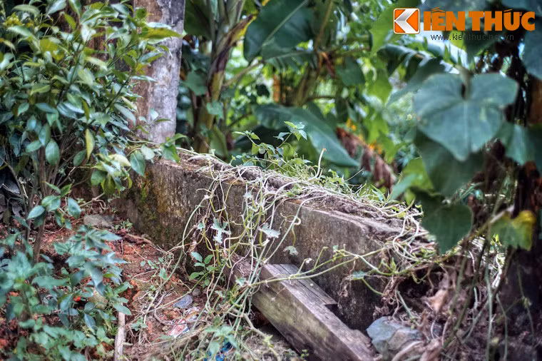 Cây dại bao trùm lên những bức tường cũ càng làm tăng thêm vẻ hoang tàn.