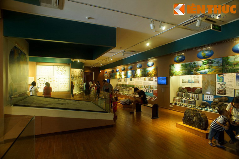 Bảo tàng được thành lập nhằm lưu giữ, bảo tồn, trưng bày, phổ biến kiến thức, tuyên truyền giáo dục về thiên nhiên và môi trường, giới thiệu và quảng bá tương đối đầy đủ, toàn diện về những đặc trưng cơ bản về giá trị thiên nhiên Việt Nam.