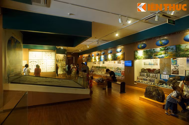 Bảo tàng được thành lập nhằm lưu giữ, bảo tồn, trưng bày, phổ biến kiến thức, tuyên truyền giáo dục về thiên nhiên và môi trường, giới thiệu và quảng bá tương đối đầy đủ, toàn diện về những đặc trưng cơ bản về giá trị thiên nhiên Việt Nam.