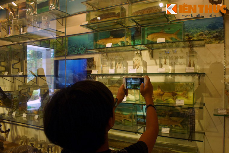 Bảo tàng mở cửa miễn phí vào buổi sáng từ 8h30 đến 11h30 và chiều từ 13h30 đến 16h30 các ngày thứ 5 đến chủ nhật. Ngày thứ 3, thứ 4 được dành riêng cho đoàn đăng ký trước như các đơn vị trường học, học sinh sinh viên.