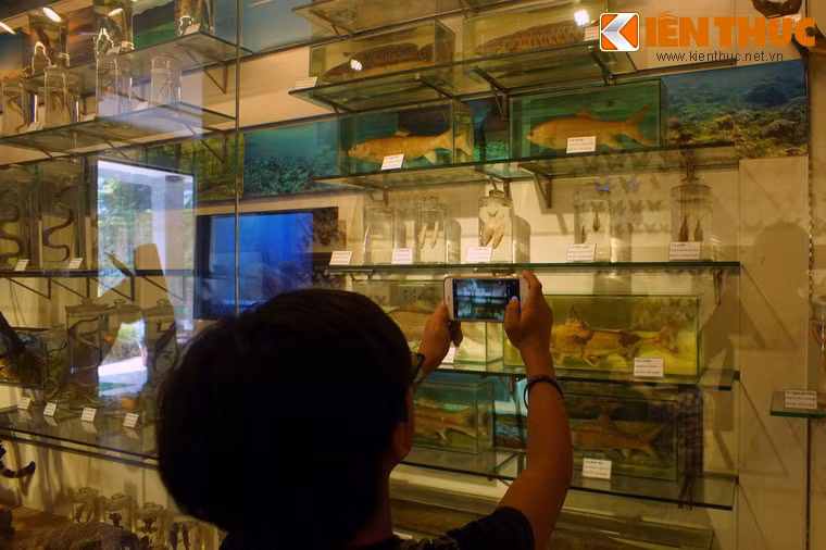 Bảo tàng mở cửa miễn phí vào buổi sáng từ 8h30 đến 11h30 và chiều từ 13h30 đến 16h30 các ngày thứ 5 đến chủ nhật. Ngày thứ 3, thứ 4 được dành riêng cho đoàn đăng ký trước như các đơn vị trường học, học sinh sinh viên.