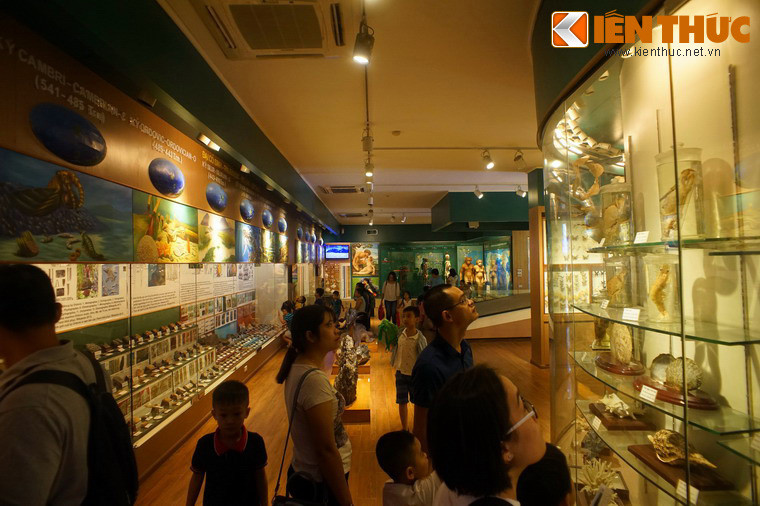 Kể từ khi mở cửa đến nay, Bảo tàng đã trở thành một điểm đến hấp dẫn thu hút rất đông du khách, đặc biệt là trẻ em vào những dịp cuối tuần.