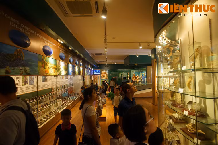 Kể từ khi mở cửa đến nay, Bảo tàng đã trở thành một điểm đến hấp dẫn thu hút rất đông du khách, đặc biệt là trẻ em vào những dịp cuối tuần.