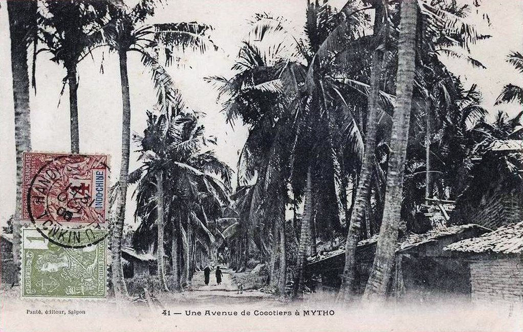 Một con đường rợp bóng dừa. Ảnh tư liệu.