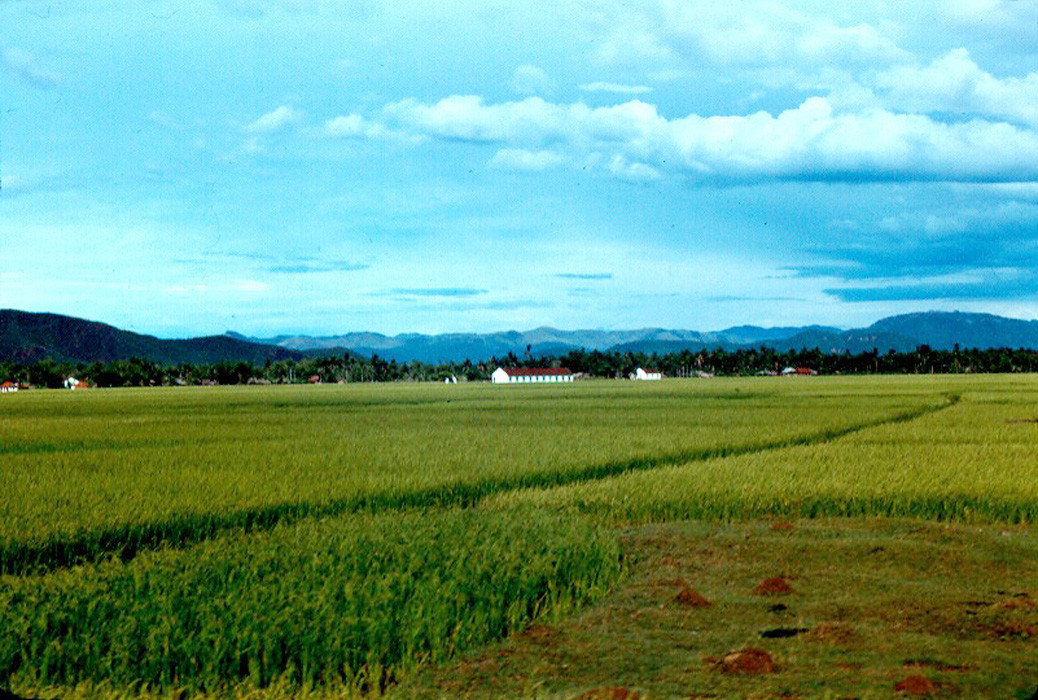 Đồng ruộng gần thị trấn Tam Quan, Quy Nhơn. Ảnh: John Hack.