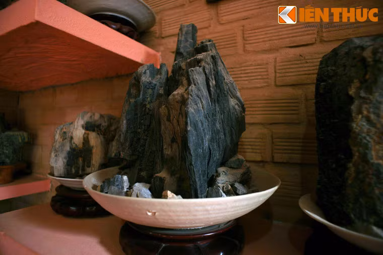 Những nét khái quát về thiên nhiên Phú Quốc được thể hiện qua những mẫu vật đặc sắc, như bộ sưu tập gỗ hóa thạch được tìm thấy trên đảo.