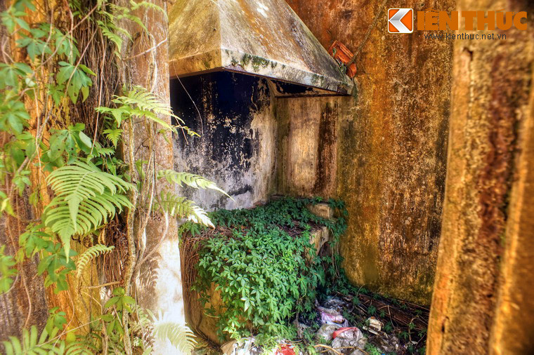 Khu nhà bếp với ống thông khói và bếp lò bị cây dại bao phủ.