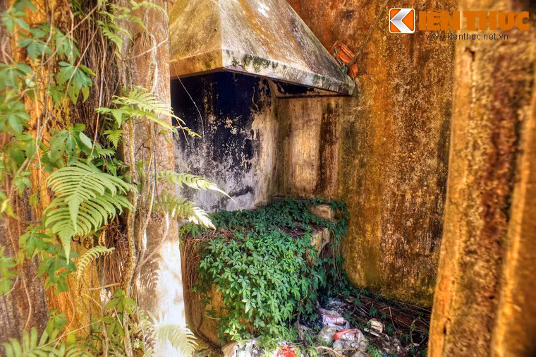 Khu nhà bếp với ống thông khói và bếp lò bị cây dại bao phủ.