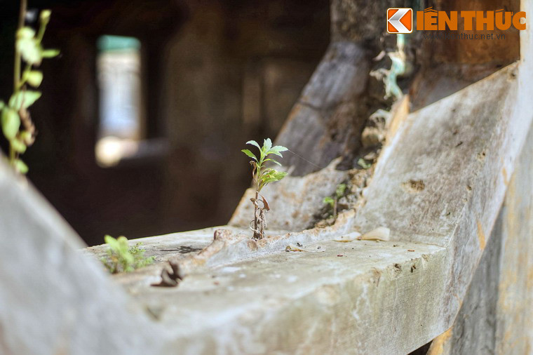 Các ô cửa sổ hình bát giác kiểu Á Đông đã bị dập vỡ hết song cửa bằng gốm men xanh.